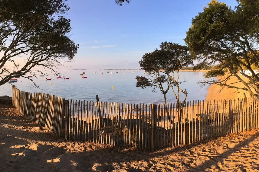 Doorkijk op strand en zee vanuit struikgewas