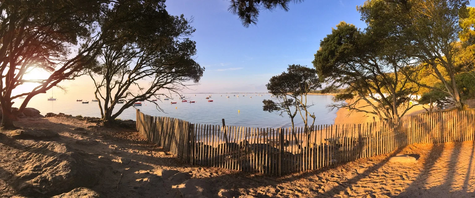 Doorkijk op strand en zee vanuit struikgewas