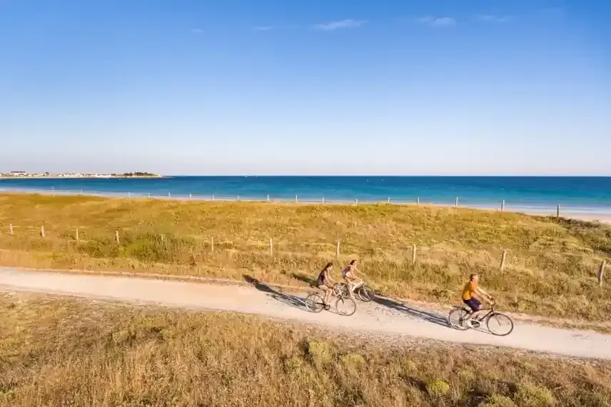 Groepje fietsers door de duinen met zee op de achtergrond