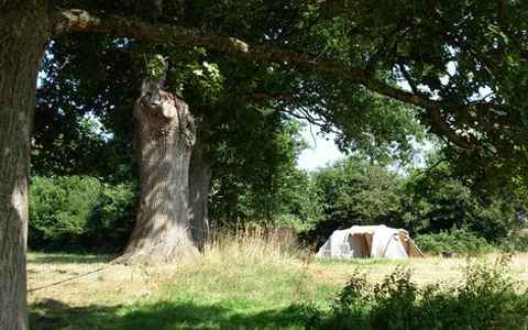 Camping Plessière (minicamping à la ferme bio)