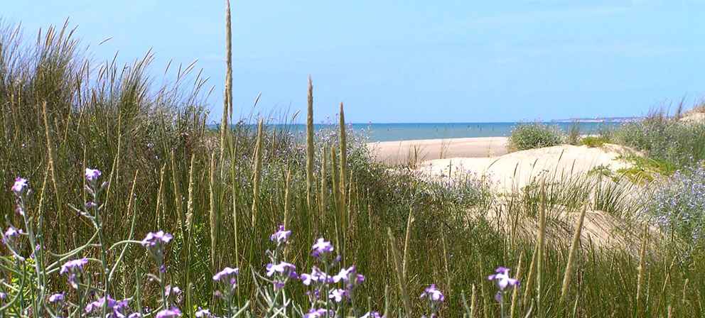 Campings in de Vendée