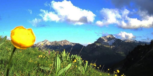 Camping Les Jardins du Taillefer