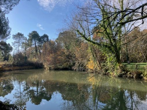 Camping Domaine du Lac