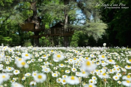 Camping Le Parc de la Belle