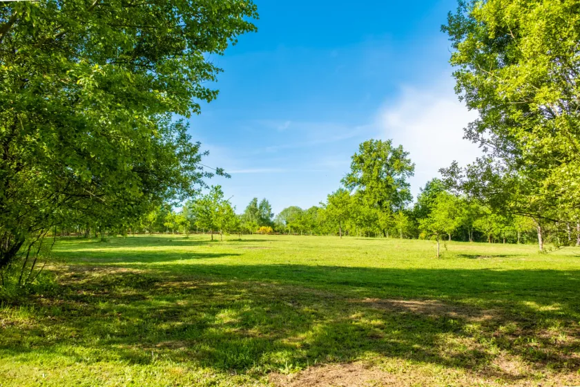 Camping de la Bucherie